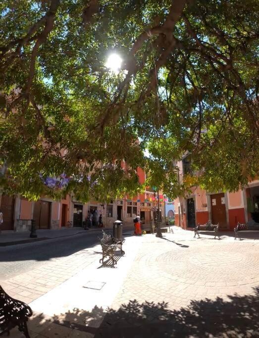 Casa Antares24, Departamento De Confort Y Descanso Guanajuato