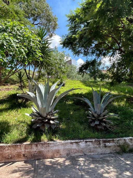 Apartamento Casa Antares24, Departamento De Confort Y Descanso Guanajuato